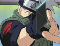 /album/fotogalerie/a1142642217-1-kakashi2-jpg/